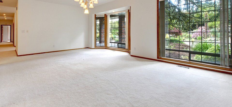 Carpets showroom