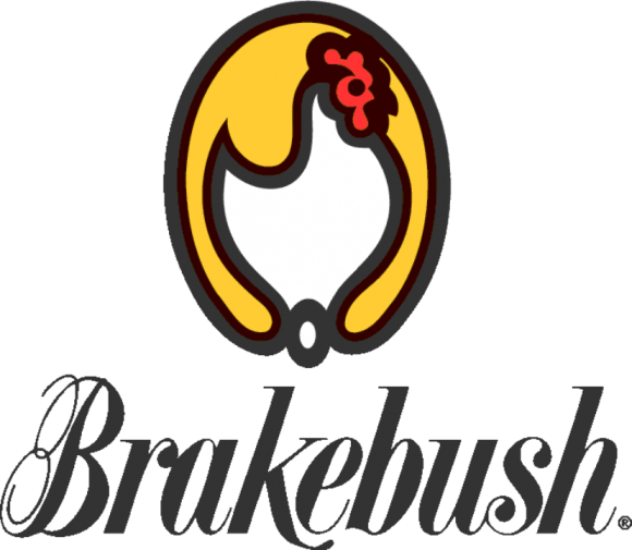 Brake Bush