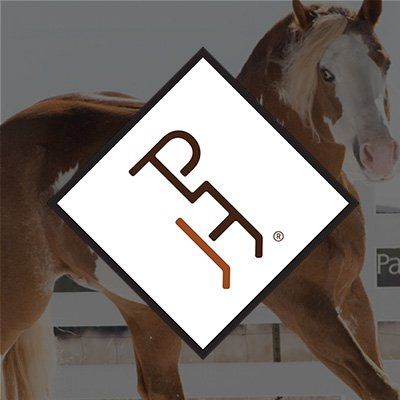 APHA APHA - American Paint Horse Association
