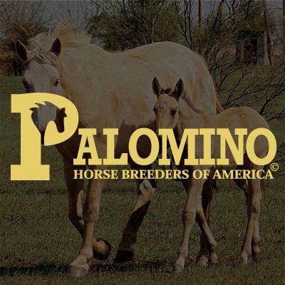 PHBA PHBA-Palomino Horse Breeders Association