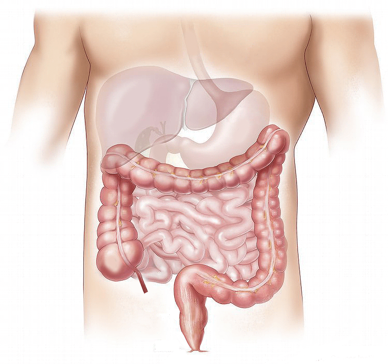 colonhydrotherapie darmspoeling 