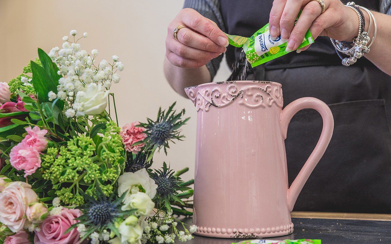 Person adding floral preservative packet to a pink pitcher, flowers on the left.