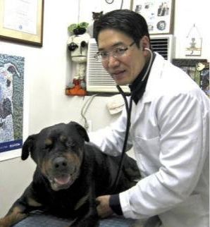 Dr. Scott Harada — Honolulu, HI — The Pet Clinic Dr. Scott Harada — Honolulu, HI — The Pet Clinic
