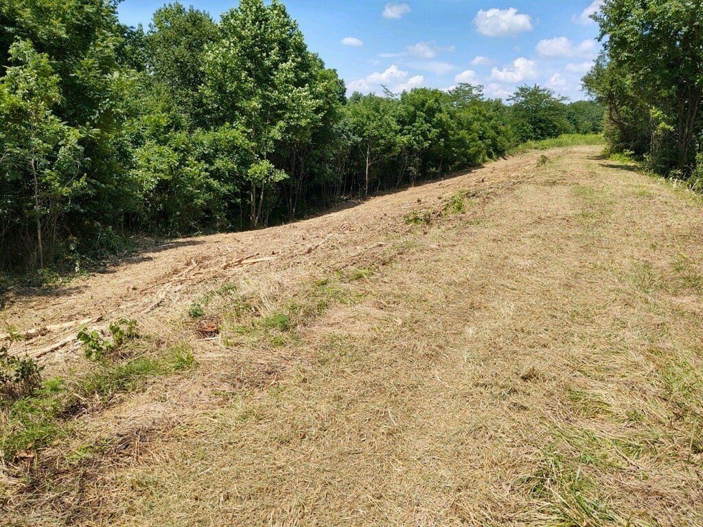 land clearing