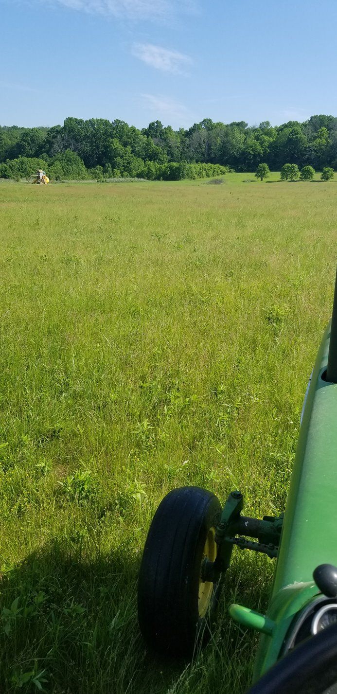 land clearing