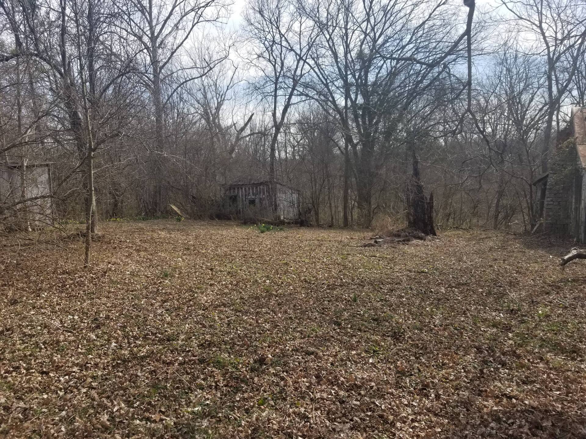 land clearing