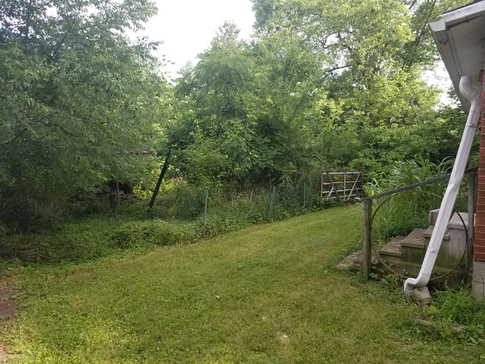land clearing