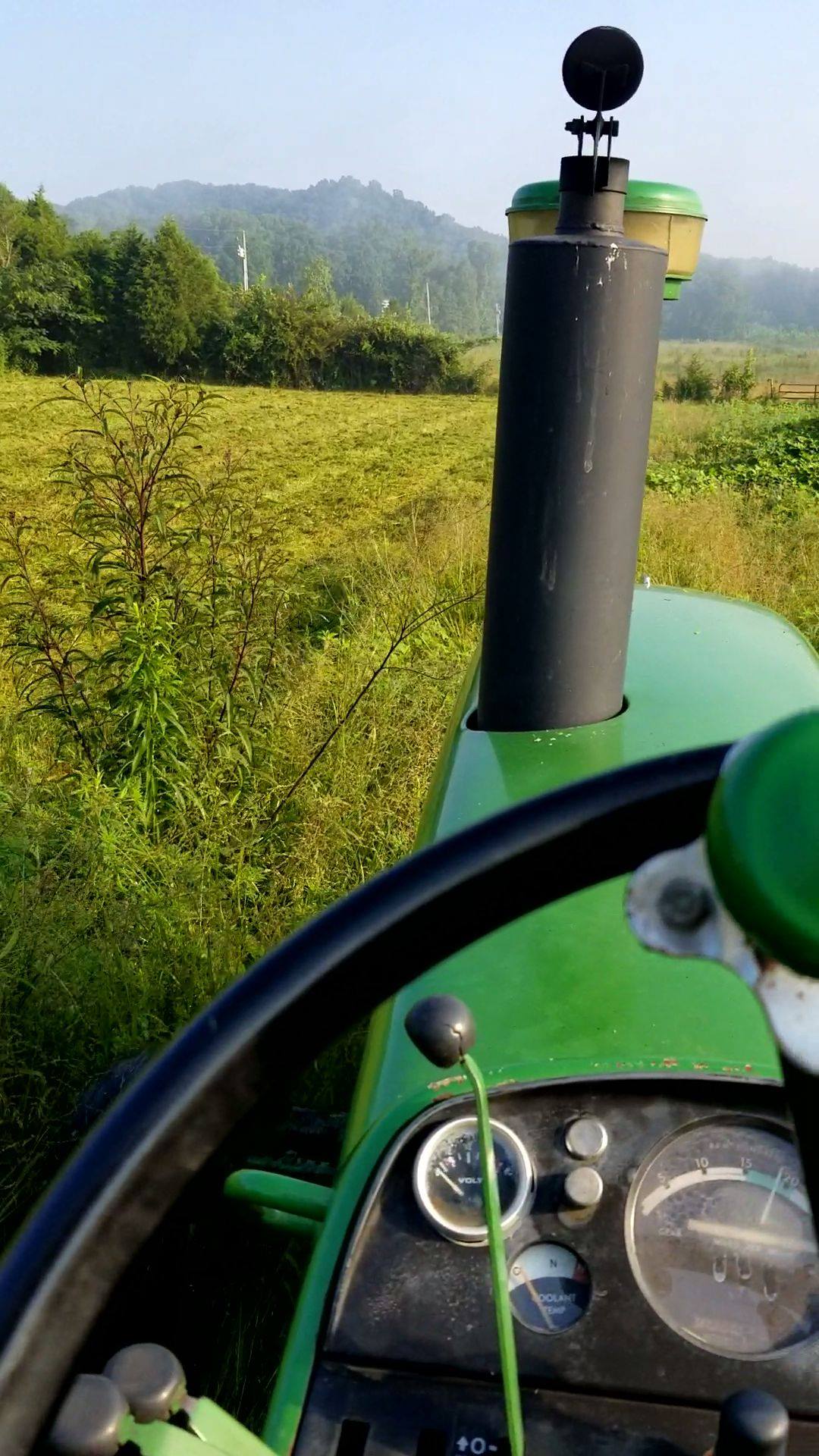 Mowing bush hogging brush hogging in louisville