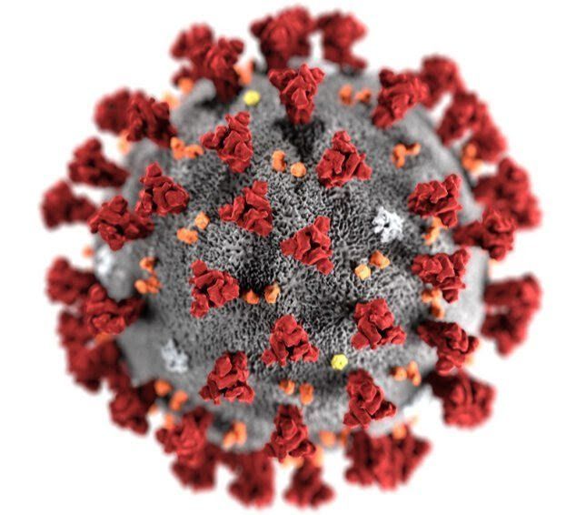 Coronavirus (covid-19) economic effects