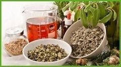 tisane biologiche tisane biologiche