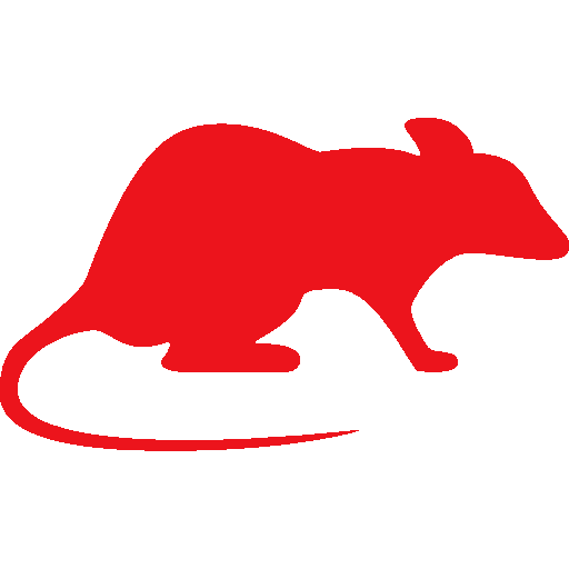 rodent