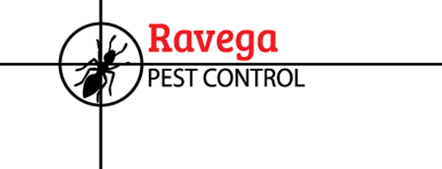 Ravega Pest Control Ravega Pest Control