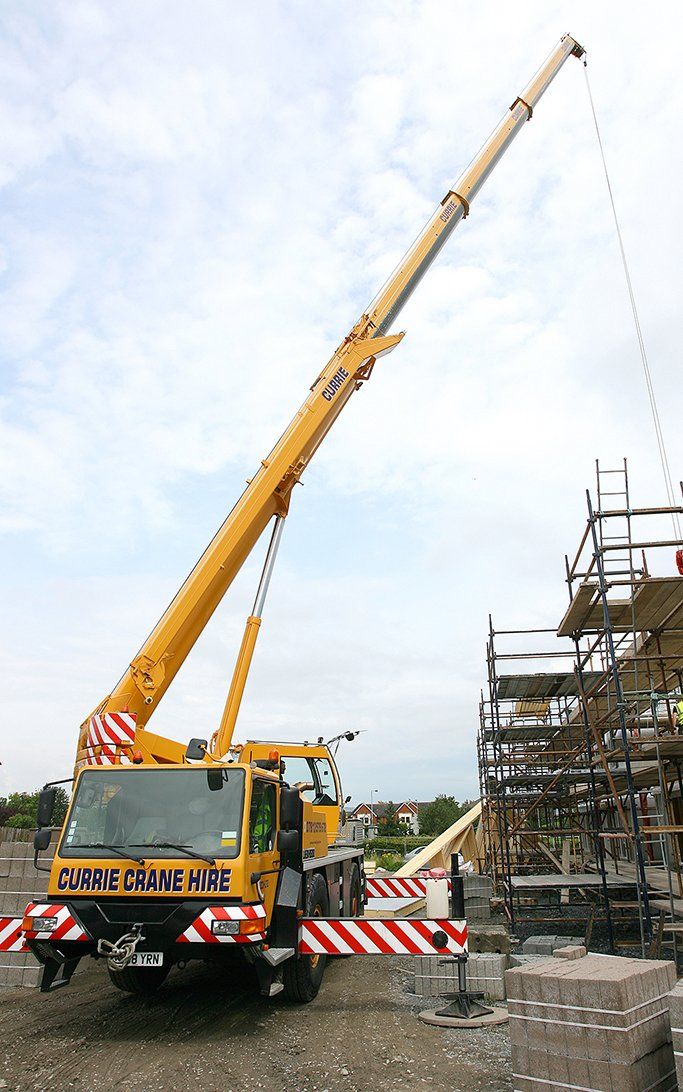 crane 10