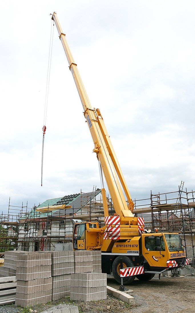 crane 7