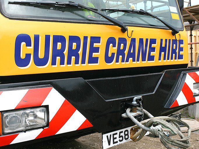 crane 6