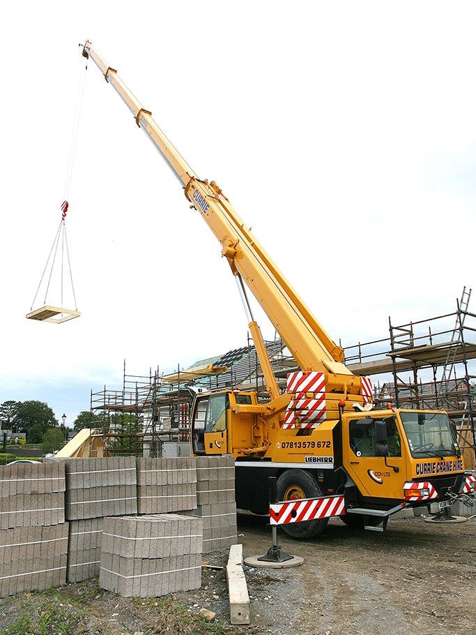 crane 4