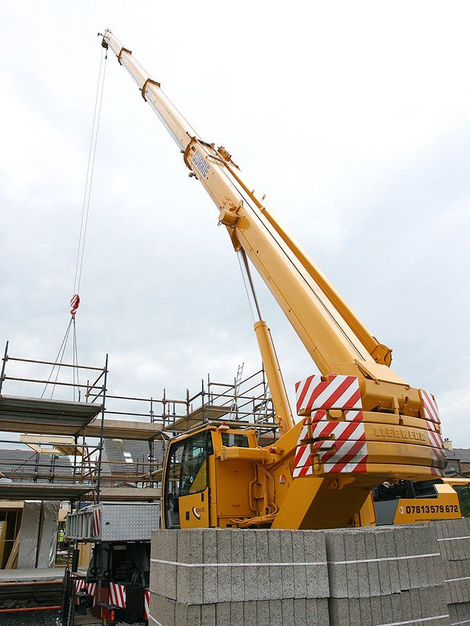 crane 1