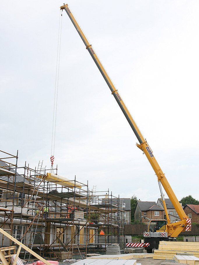 crane 41