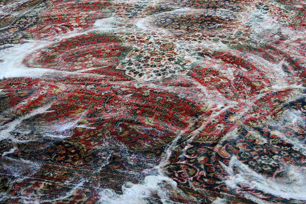 Carpet Shampooing — Mansfield, TX — Apex Cleaning Concepts LLC