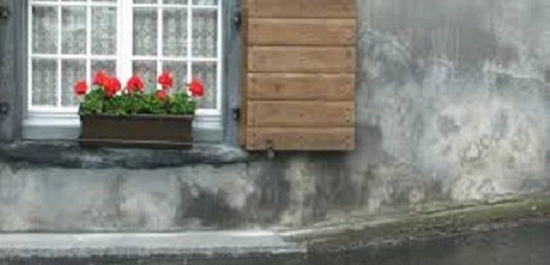 efflorescence
