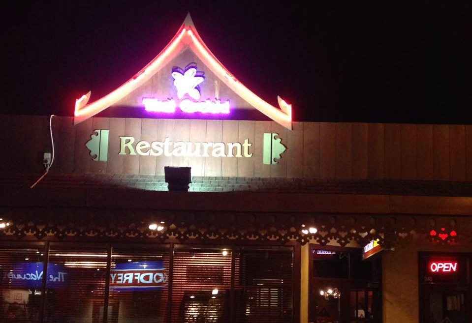 Approx 5 mins Walk Thai Orchid Restaurant Palmerston North, Near Shadzz Motel