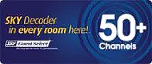 Sky TV Shadzz Motel Palmerston North
