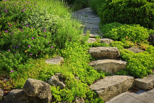Home landscaping design by Stay Green Sprinkler Systems in WI