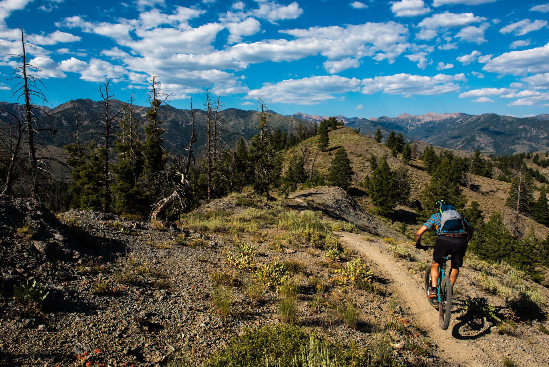 mountain biking