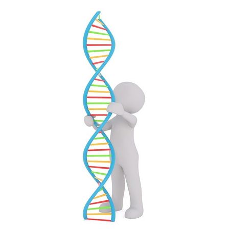 DNA Cartoon — Redlands, CA — Beloved Foundation DNA Cartoon — Redlands, CA — Beloved Foundation