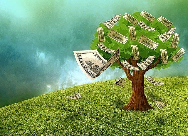 Tree Cash Concept — Redlands, CA — Beloved Foundation