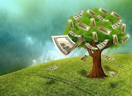 Tree Cash Concept — Redlands, CA — Beloved Foundation Tree Cash Concept — Redlands, CA — Beloved Foundation