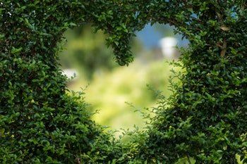 Heart Shape — Redlands, CA — Beloved Foundation