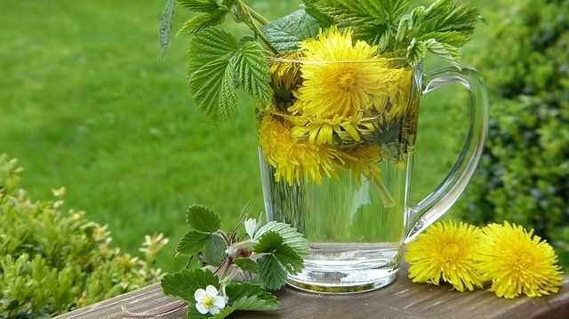 Dandelion — Redlands, CA — Beloved Foundation