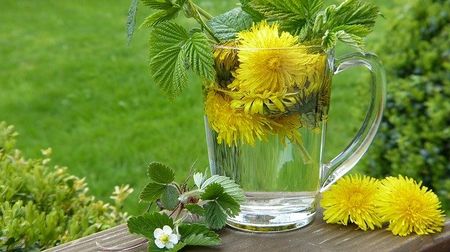 Dandelion — Redlands, CA — Beloved Foundation Dandelion — Redlands, CA — Beloved Foundation
