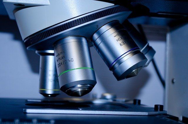 Microscope — Redlands, CA — Beloved Foundation