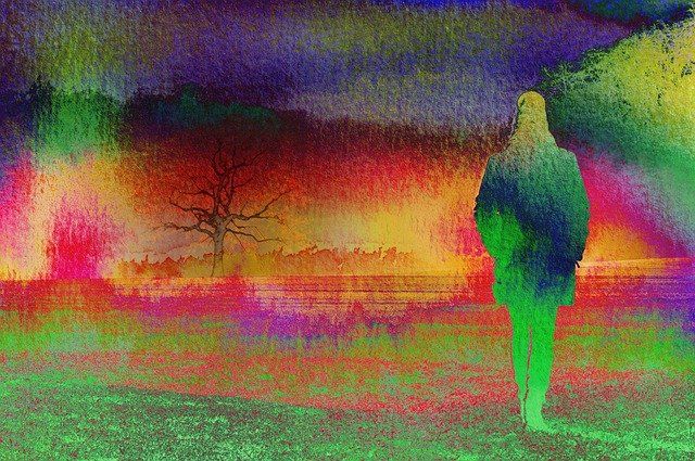 Bird — Redlands, CA — Beloved Foundation