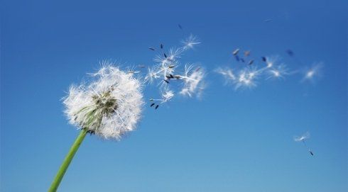 assistenza impianti di sanificazione aria