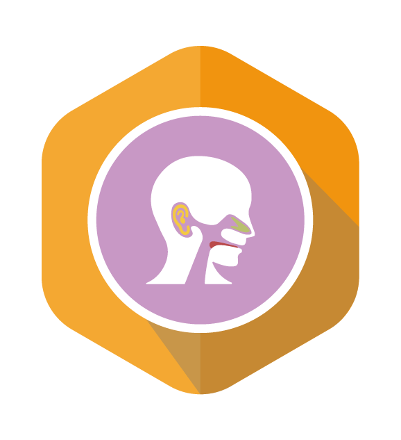 ENT Icon