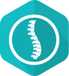 Chiropractic Icon