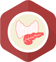 Endocrinology Icon