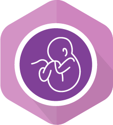 FertilityEHR Icon