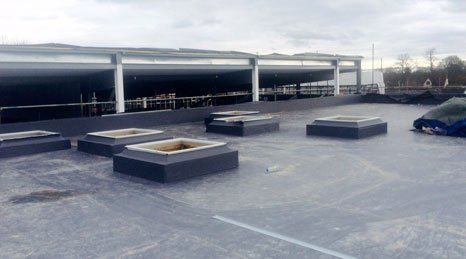 Industrial roof