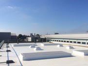 flat roof