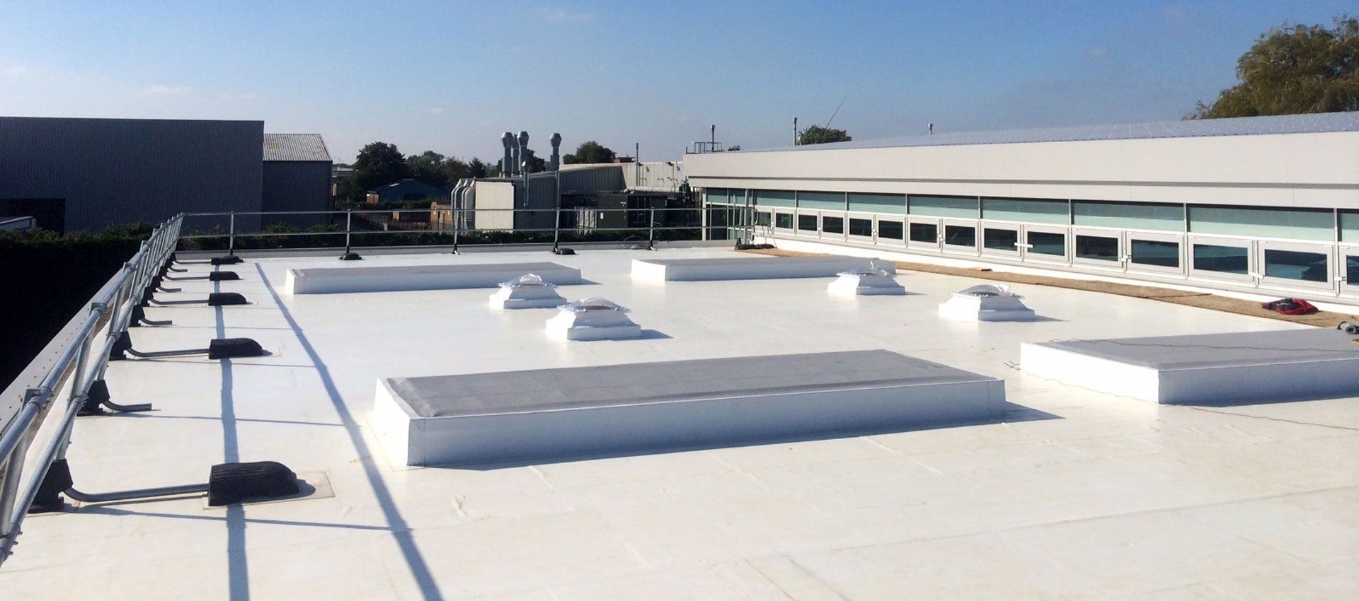 New roof