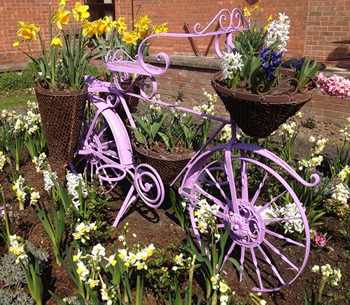 Bicycle being used to plant flowers 
