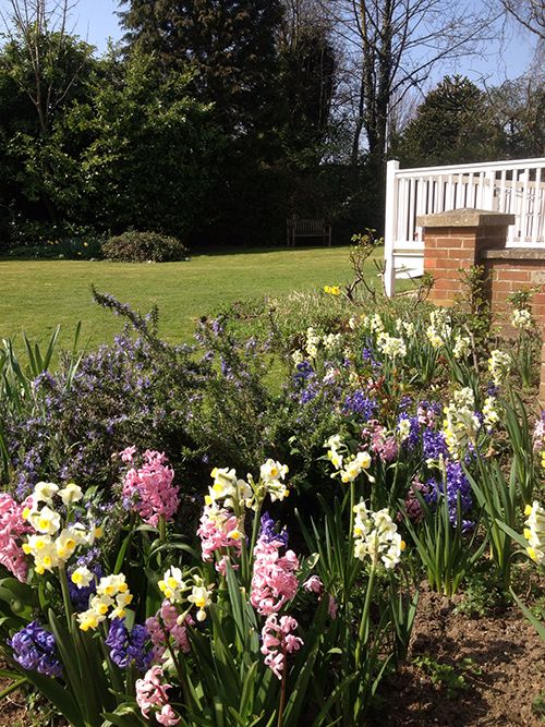 Variety of flowers at the care home in Long sutton