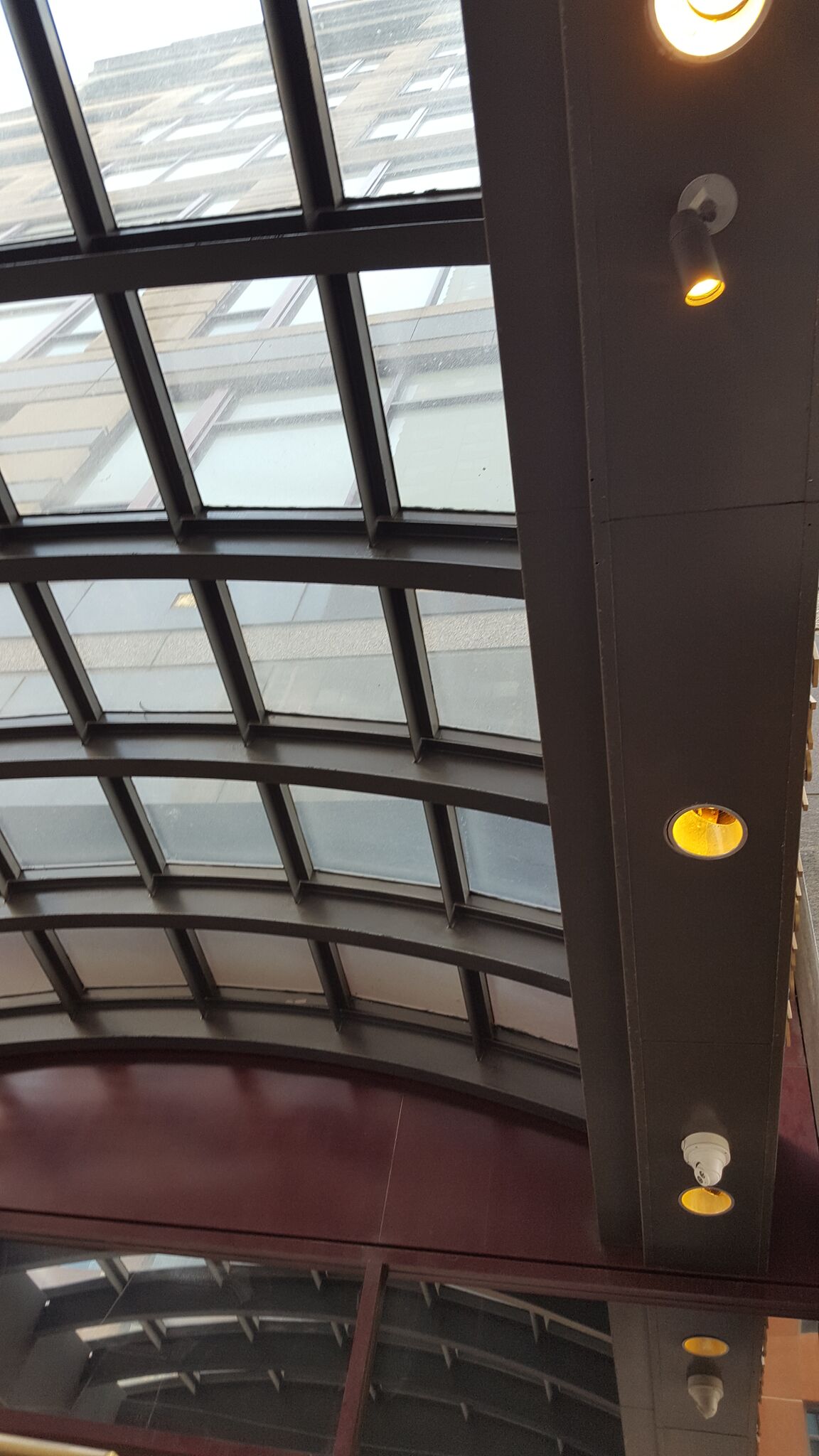 A ceiling with a lot of windows and lights on it