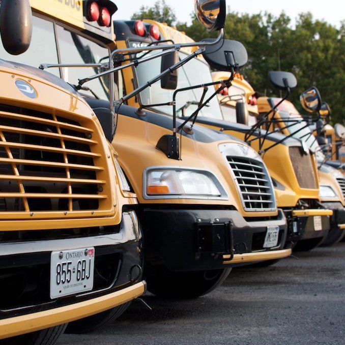 A row of school buses are parked next to each other