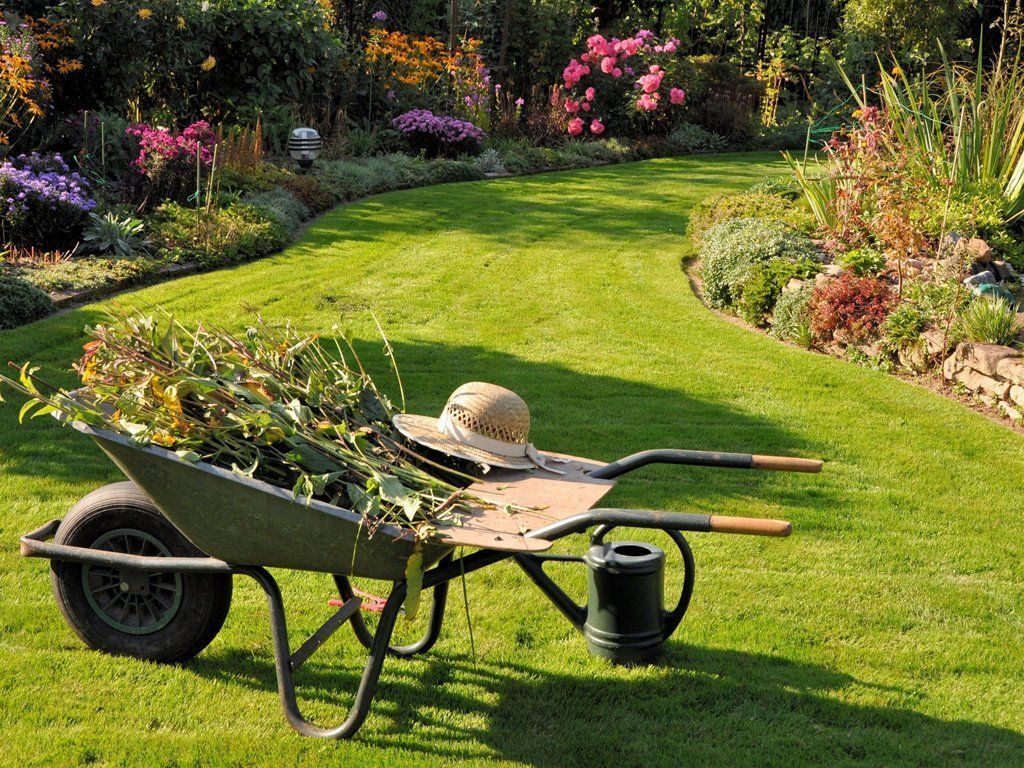 carrello in un giardino