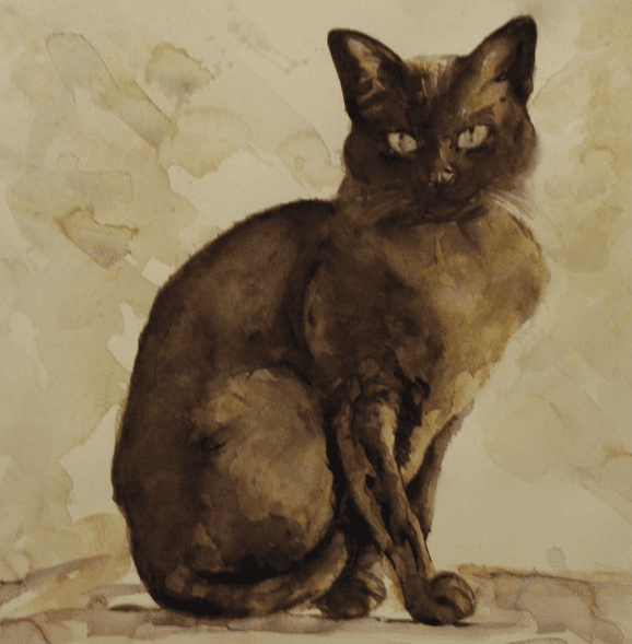 Portrait of a cat